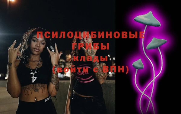 спиды Богородск