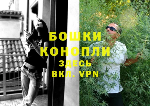 спиды Богородск