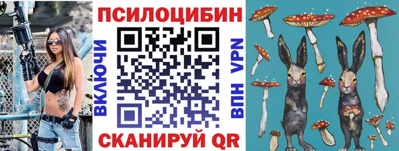 где купить наркотик  Дигора  Галлюциногенные грибы прущие грибы 